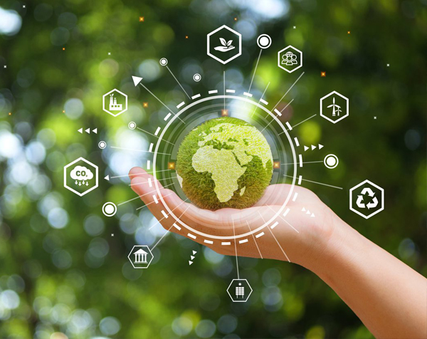 Manufacturer sustainability.jpg